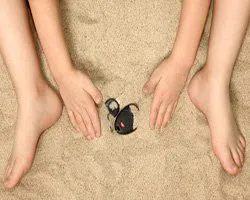  Estate Locksmith Store  Newton, MA 617-826-6169